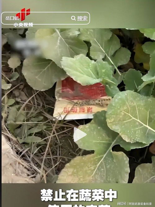 云南‘毒紅薯’事件升級 調查組介入深挖產業鏈，商戶‘主動投毒’背后的黑幕浮出水面